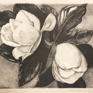 Buds and Blooms by Doris Alexander Thompson